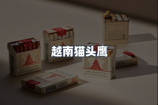 越南香烟系列
